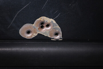Bullet holes from a firearm on a car door, close-up photo. - obrazy, fototapety, plakaty