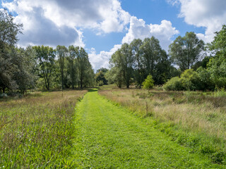 Grass path through a meadow and woodland with a blue cloudy sky