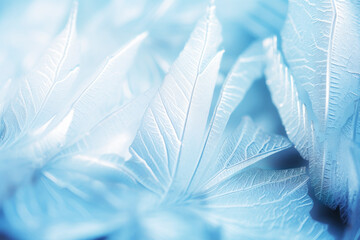 Winter Frosted Leaves Background in Blue Tones
