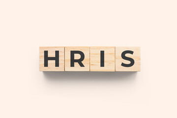HRIS (Human Resources Information System) wooden cubes on beige background