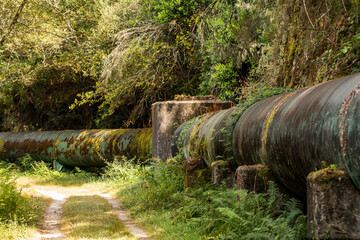 Tubería vieja en el bosque