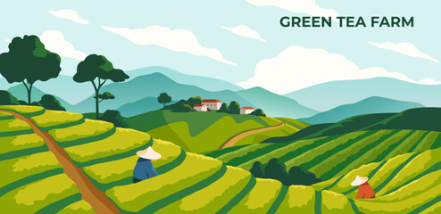 Green tea farm poster. Chinese or Korean field with plantation. Horizontal banner with natural landscape and worker or farmer. Agriculture, village and harvest season. Cartoon flat vector illustration