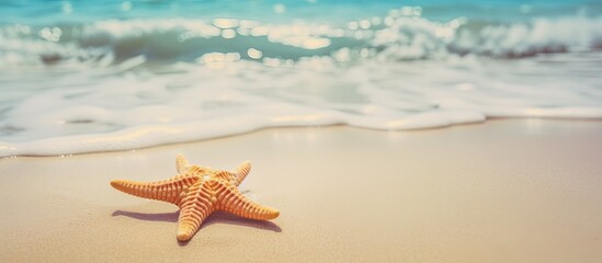 Fototapeta na wymiar Starfish on the sandy beach clear sea water summer background relaxing