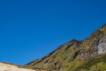 Landscape mountain when morning time sunlight summer vibes. The photo is suitable to use for adventure content media, nature poster and forest background.