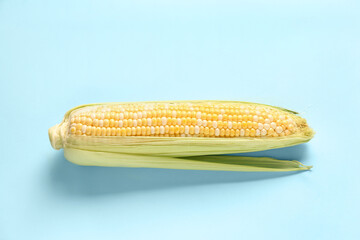 Fresh corn cob on blue background