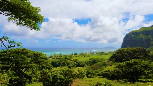 Majestic scenery of Hawaii mountains and ocean which remind Jurassic Park landscape. Beautiful Hawaiian nature. Cinematic view of Oahu island.  Peaceful lawn during sunny day. Exotic wild nature  