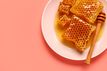 Plate with sweet honeycombs and dipper on red background