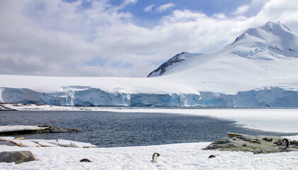 Antarctic Mountain View