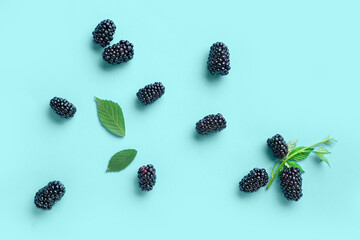 Fresh blackberries and leaves on blue background © Pixel-Shot