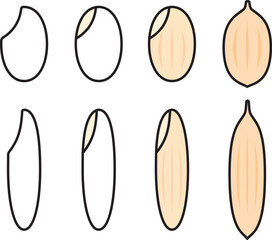 お米、米粒のベクターイラストセット