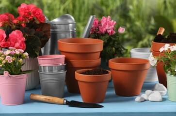 Beautiful flowers, pots, soil and trowel on light blue wooden table outdoors
