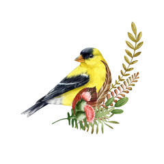 Floral natural decor with goldfinch, thistle, fern. Watercolor illustration. Hand drawn forest elements natural decoration. Goldfinch bird with thistle flowers, fern elements floral decor isolated