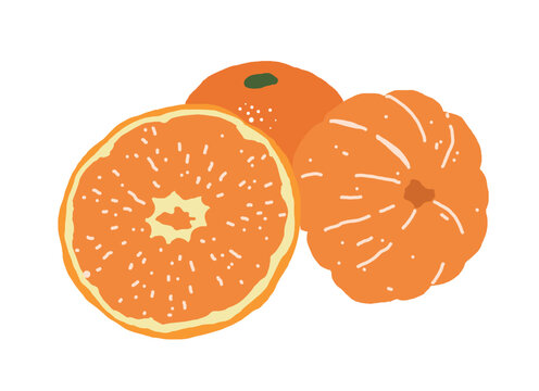 orange fruit slices, whole, cut, isolated clip art preview