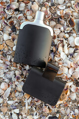 Different bottles of aromatic perfume and seashells on beach sand
