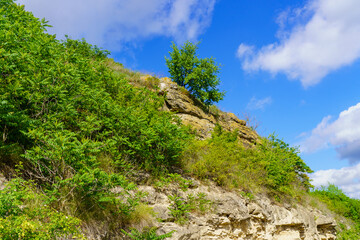 Fototapeta na wymiar Rocky nature. Background with selective focus and copy space