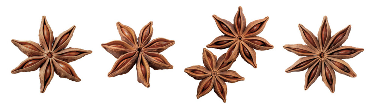 Anise on a transparent background. Christmas spice.