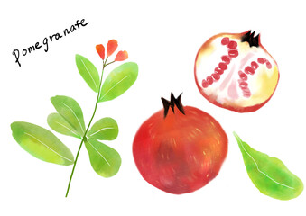 かわいいざくろの手描きイラスト　ザクロ　柘榴　果物　手書き　季節　果物　ほっこり　