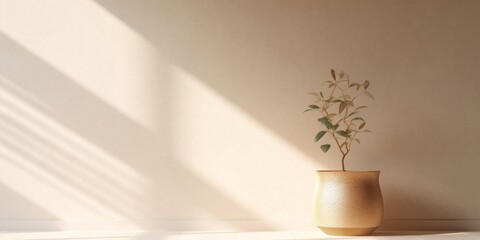 Peaceful interior background with soft cream white walls and potted plant. Sun rays streaming through windows. Wallpaper, Generative AI 