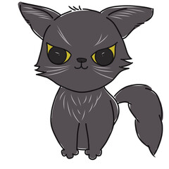 black cat