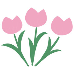 tulips
