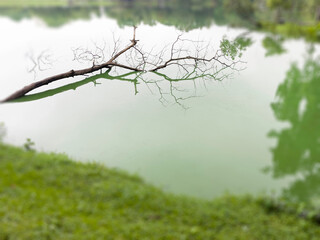 Evening cloudy sky reflected in lake
