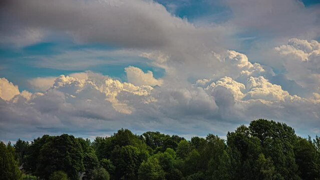 Cumulonimbus Clouds Develop and Drift Across the Treetops of a Forest with Blue Skies in a Motion Timelapse.