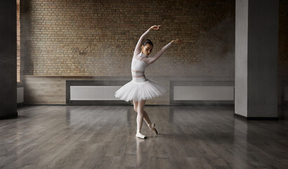 Beautiful female ballerina wearing tutu dress and pointe shoes indoors