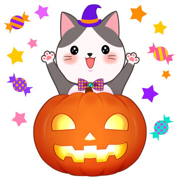 recommend clip art: ハロウィンの素材　飾り　カボチャと猫　ジャックオランタン