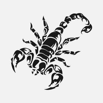 scorpion tattoo. vector illustration.