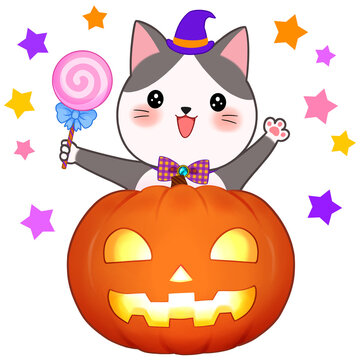 recommend clip art: ハロウィンの素材　カボチャと猫　飾り　ジャックオランタン