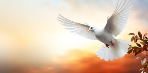 Obraz premium white dove flying in the sky