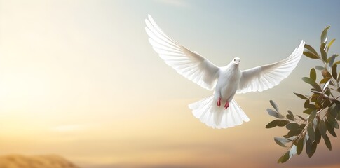 white dove or white pigeon, Holly spirit, international day of peace