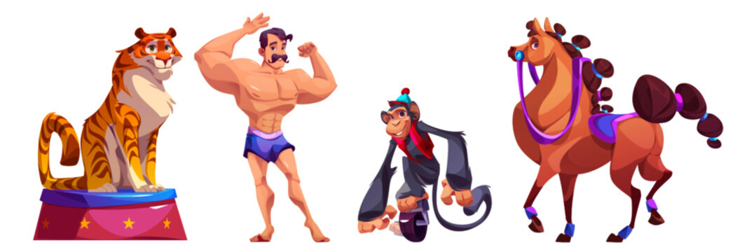 Circus strongman and trained animals set isolated on white background. Vector cartoon illustration of athlete showing muscles, tiger sitting on podium, monkey riding monocycle, horse walking on arena