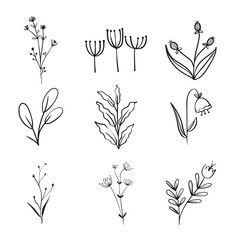 
Floral branches and minimalist leaves for logo or tattoo. Hand-drawn line wedding herb and branches nature doodles.