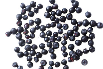 Blueberry berry isolated on white background. Close-up