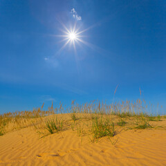 wide sandy desert under a sparkle sun