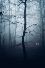 Geisterhafter Baum im dunklen Wald