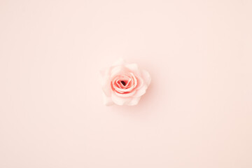 Beautiful soft pink rose on a light pastel background.