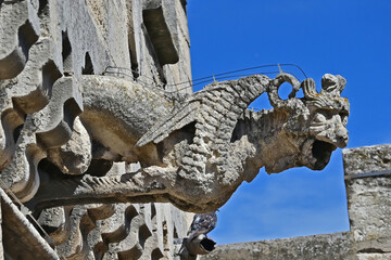 Arles, antico palazzo dei cavalieri di malta sede del museo Réattu - Provenza, Francia