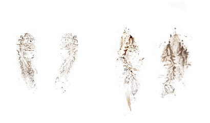 Black footprint isolated on white background, top view