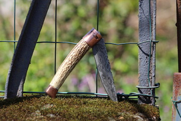 Beautiful Knife in the woods