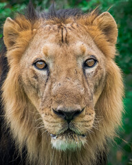 Wildlife Photography Expedition