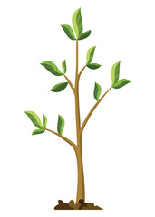 Stage of tree growth. Small tree growth with green leaf and branches. Illustration of business cycle development