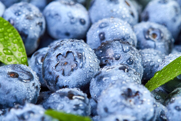 Close-up of a blueberry with green leaves and water drops