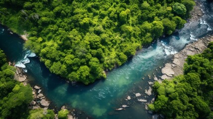 Naklejka na ściany i meble Above the Amazon: Breathtaking Aerial Photography of the River and Jungle