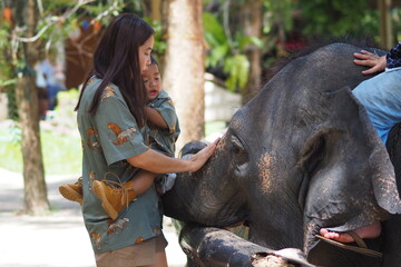 family and elephant At the Thai Elephant Conservation Center, Lampang Province