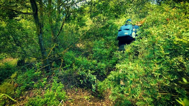 group of rounders in the atlas mountains of blida algeria