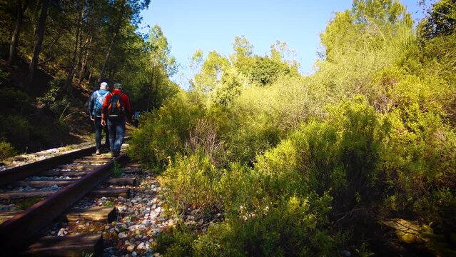 group of rounders in the atlas mountains of blida algeria