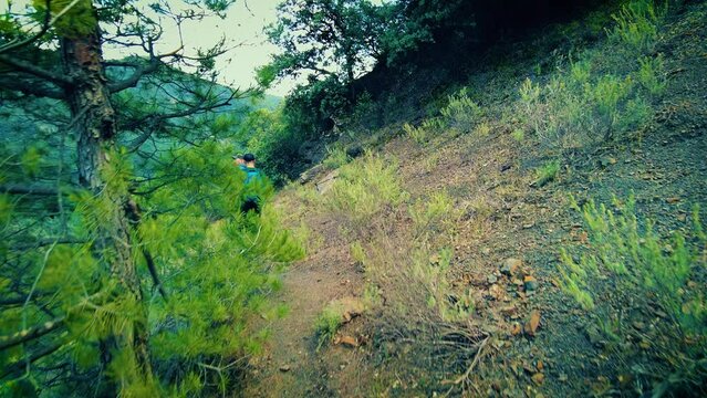 group of rounders in the atlas mountains of blida algeria