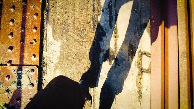 group of rounders in the atlas mountains of blida algeria